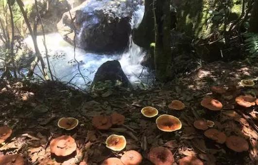 圖片關(guān)鍵詞 圖片關(guān)鍵詞