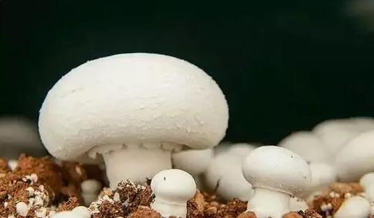 圖片關鍵詞 圖片關鍵詞