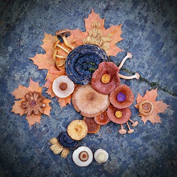 圖片關鍵詞 http://img3.jiemian.com/jiemian/original/20171123/151141505196156000_a580xH.jpg