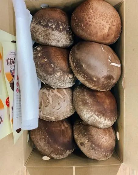 圖片關(guān)鍵詞 https://mmbiz.qpic.cn/mmbiz_jpg/OnRbAd1HL46iaCvWj8PAiaGpBOK8uSt3SYMGSia8sBV3ryE1icqRUtEW58AZmKEoAC4mobzENW7kqc9ywjpLKpdPdw/640?wx_fmt=jpeg