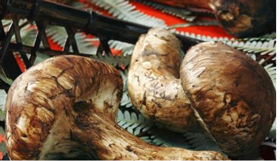 圖片關(guān)鍵詞 圖片關(guān)鍵詞