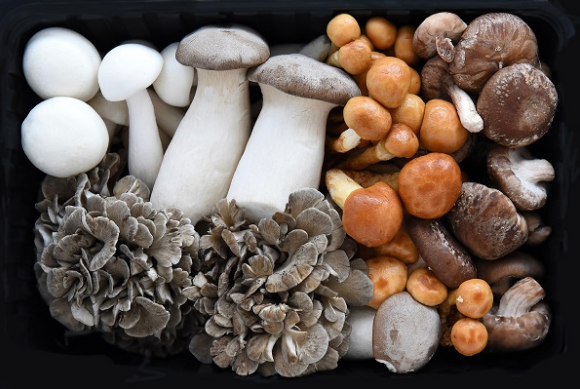 圖片關鍵詞 圖片