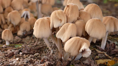 圖片關鍵詞 圖片關鍵詞