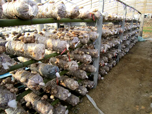 圖片關(guān)鍵詞 圖片關(guān)鍵詞