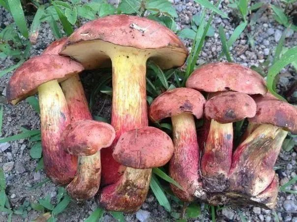 圖片關鍵詞 圖片關鍵詞