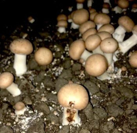 圖片關鍵詞 圖片關鍵詞