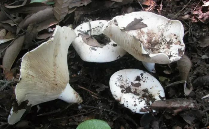 圖片關鍵詞 圖片關鍵詞