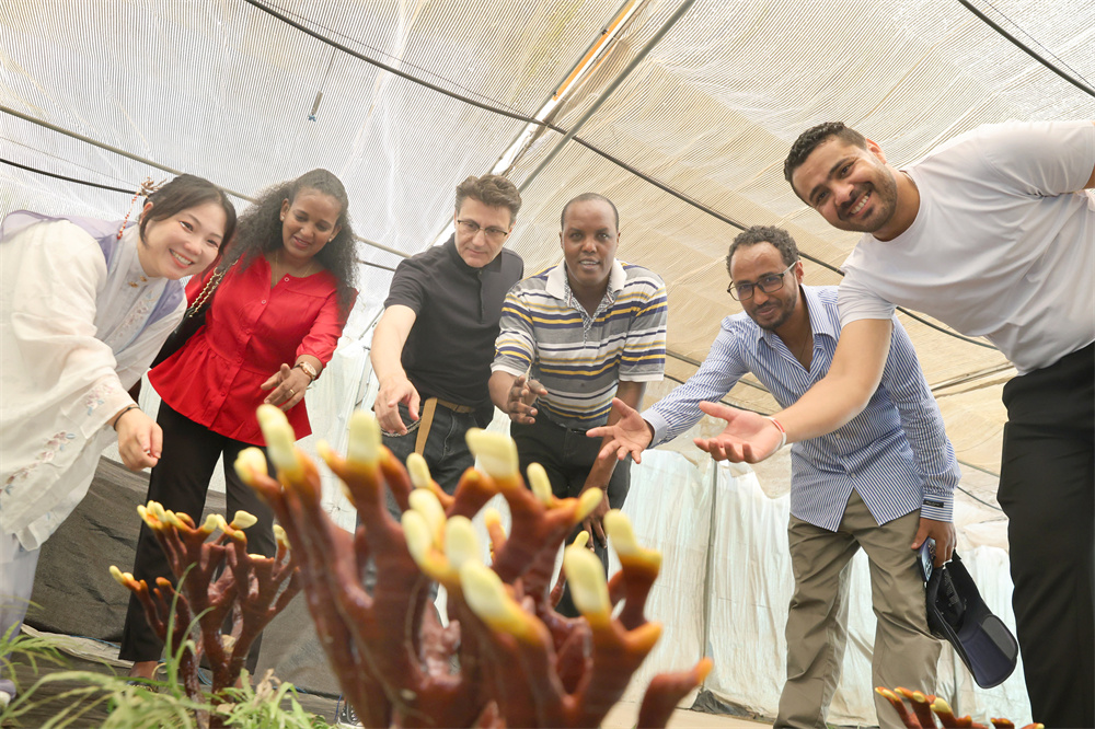 圖片關鍵詞 圖片關鍵詞